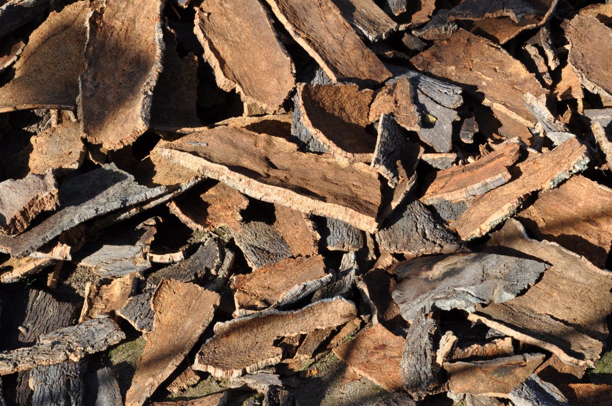 Harvested cork bark from Portuguese cork oak trees before being transformed into sustainable cork leather.