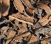 Harvested cork bark from Portuguese cork oak trees before being transformed into sustainable cork leather.